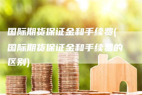 国际期货保证金和手续费(国际期货保证金和手续费的区别)