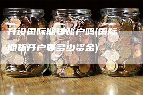 开设国际期货账户吗(国际期货开户要多少资金)