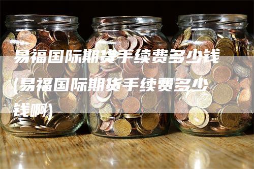 易福国际期货手续费多少钱(易福国际期货手续费多少钱啊)