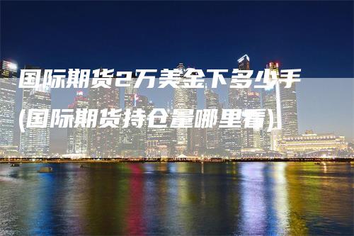 国际期货2万美金下多少手(国际期货持仓量哪里看)